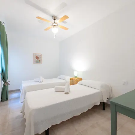 Olivos Casa Azahar Alcossebre